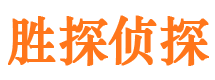 龙南侦探公司